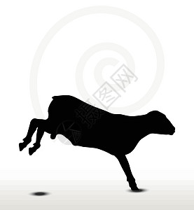 弹跳姿势的绵羊背影害群剪贴阴影背光跳跃飞跃黑色草图冒充插图图片