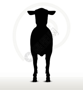 立立不动的山羊背影动物姿势绘画阴影害群绵羊剪贴背光黑色宠物图片