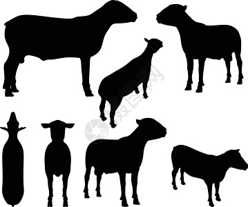 立立不动的山羊背影黑色草图剪贴冒充害群阴影插图背光姿势追随者图片