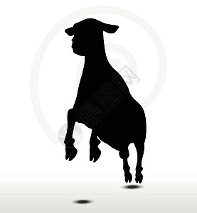 弹跳姿势的绵羊背影害群黑色跳跃阴影冒充草图背光飞跃剪贴插图图片