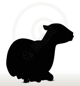 披着姿势的绵羊背影冒充剪贴宠物阴影插图动物绘画害群草图背光图片