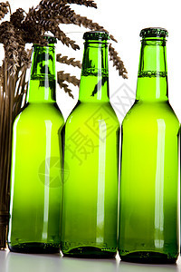 啤酒收集 明亮 充满活力的烈酒主题泡沫豪饮桌子背光酒馆气泡啤酒厂烧杯玻璃干杯图片