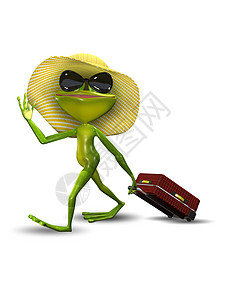 青蛙穿着帽子装着手提箱图片