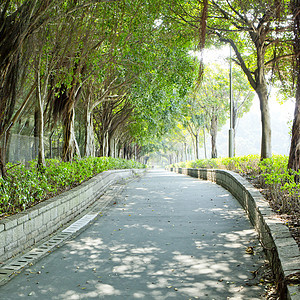 花园的景观美化 花园的路径温泉小路公园长椅场地木头园丁石头植物曲线图片