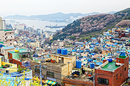 南韩甘川文化村天际场景景点街道城市村庄旅游海洋大楼办公图片