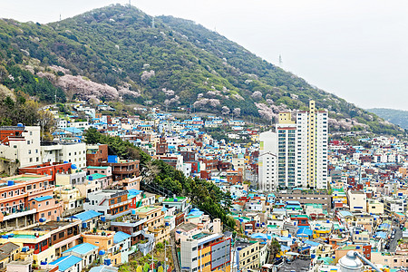 南韩甘川文化村景点目的地艺术地标海洋办公旅游游客城市大楼图片