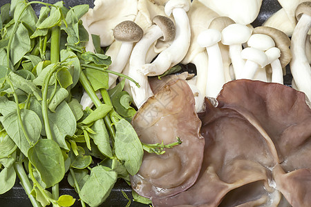 食品包蘑菇和蔬菜饮食按钮肉汁餐厅健康营养木板收成杂货店木头图片