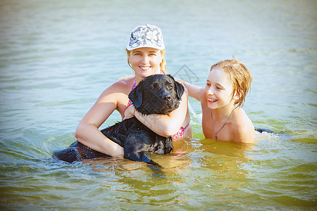游泳的狗家庭快乐与狗在水中玩耍女士团体支撑幸福蓝色朋友们男生笑声海滩闲暇背景