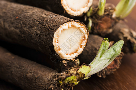 在木材上使蔬菜盐化乡村工作室美食植物木头食物水平家庭素食主义者绿色图片