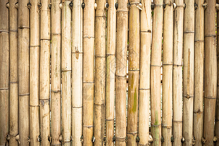 hunge 黄色竹子背景和纹理装饰天气树枝枝条木头绑定植物丛林管道生长图片