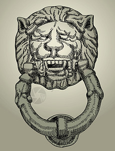 狮子装饰绘画曲线风格插图图片