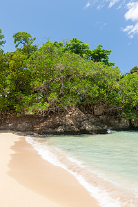 热带岛屿上的海滩 清蓝的海水 沙子 灌木丛图片