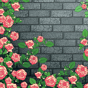 花层背景框架灰色墙纸植物插图花园玫瑰粉色叶子图片