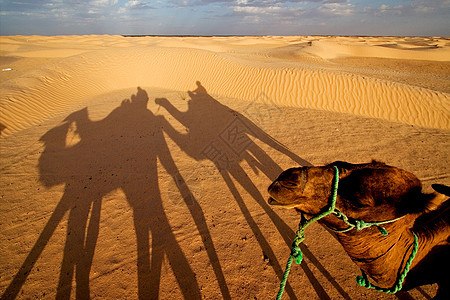 萨哈拉沙漠的日出图片