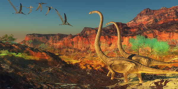 龙恐龙古生物学翅膀插图脊椎动物生物食草牙齿动物巨龙蜥蜴图片