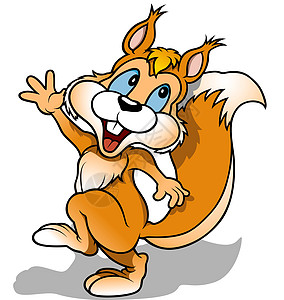 快乐的松松鼠野生动物微笑尾巴栗鼠毛皮绘画手绘哺乳动物动物插图图片