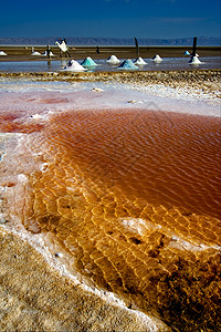 盐湖湖沙漠蓝色骆驼孤独浅蓝色红色白色海浪木头结晶圆顶图片