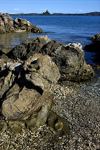 石头和岩石海滩浅蓝色小岛衬套海藻真子木头海岸线低潮波浪图片