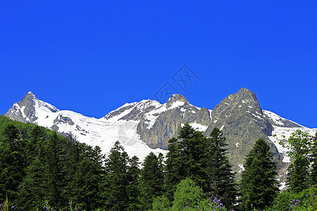 白雪和清蓝天空下高加索山脉天蓝色爬坡生长滑冰季节石头旅游森林木头岩石图片