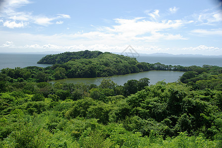 尼加拉瓜的景观木头热带沼泽表位红树荒野森林衬套灌木风景图片