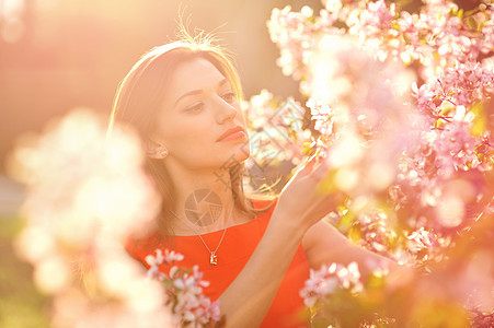 美丽的女人在开花的树丛中图片