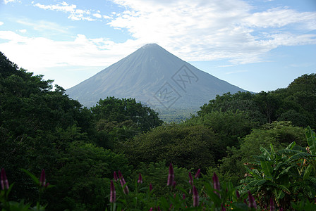 尼加拉瓜火山森林热带地质学表位木头多云顶峰荒野风景锥体图片