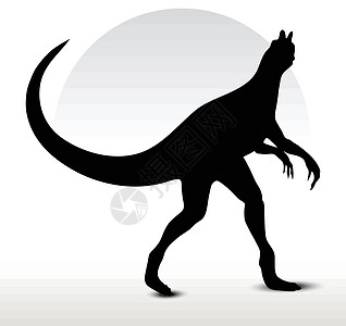 恐龙二甲硫龙白色背光剪贴姿势阴影脊龙草图恐龙黑色插图图片