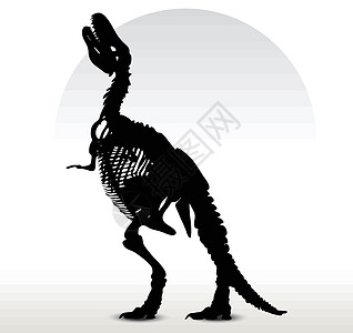恐龙的骨骼黑色背光绘画阴影姿势剪贴白色草图爬虫插图图片