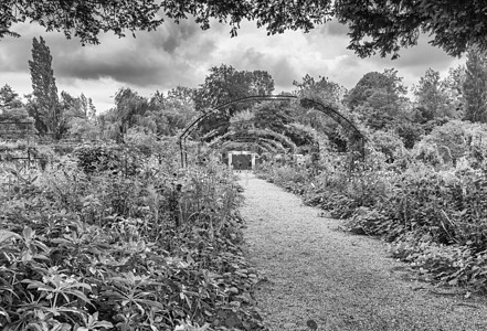 莫奈的花园 在高兰尼 黑白的观光中图片