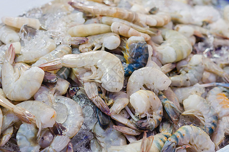 新鲜虾虾贝类食物市场团体海鲜图片