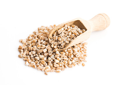 白的 孤立的珍珠麦薏米种子粮食食物团体谷物背景图片