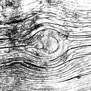 木质背景 现实主义木板 矢量图解木工木材硬木控制板宏观松树桌子墙纸风格木地板背景图片