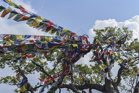 特写尼泊尔的祷告旗白色文化寺庙天空旅游宗教旗帜蓝色旅行咒语图片
