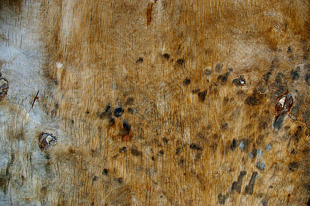 暗木纹理背景木材框架核桃乡村硬木松树橡木桌子木地板粮食图片