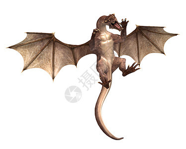 腾飞龙魔法插图动物童话幻想神话翅膀爬虫艺术怪物图片