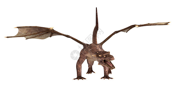 幻想龙神话插图爬虫怪物幻想动物艺术童话魔法翅膀图片