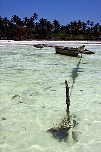 桑给巴尔海滩海岸线和船只独木舟绳索石头海洋浅蓝色海岸棕榈小岛低潮岩石图片