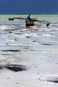 桑给巴尔海滩海草和船海藻海洋支撑石头男人岩石低潮天空独木舟浅蓝色图片