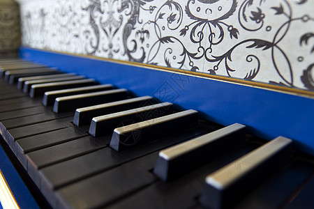 旧的竖琴键盘 近视乐器古董音乐钥匙钢琴蓝色黑色风景图片
