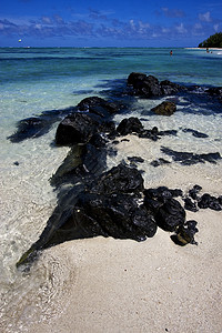 人和降落伞的升降地海洋泡沫蓝色海滩海岸棕榈木头海岸线低潮岩石图片