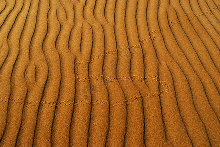 橙色柔软的沙漠沙子旅行日光天空脚印场景丘陵勘探爬坡脚步太阳图片