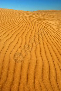 橙色柔软的沙漠沙子风雨丘陵荒野日光太阳海浪旅行风景沙丘场景图片