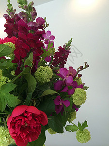 外表布花树叶栗色兰花庆典花园紫色植物牡丹植物学花束图片