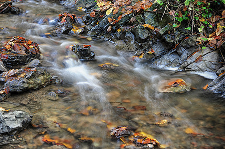 秋季小溪苔藓瀑布岩石荒野绿色叶子运动黄色风景石头图片