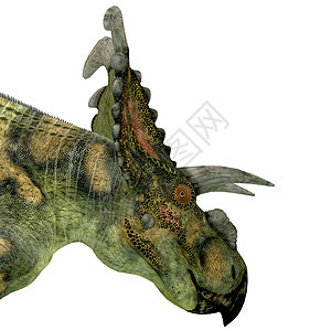 恐龙头部古艺术动物庞然大物草食性食草脊椎动物荒野生物插图蜥蜴图片
