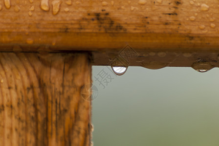 Regen 残疾阳台褶皱怪物滴水器露台背景图片