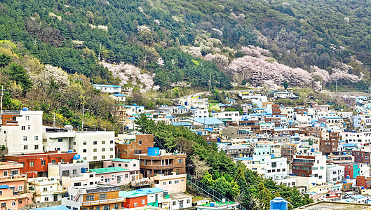 Gamcheon文化村 釜山糖果商业市中心旅游景点画廊目的地夜景海洋村庄图片