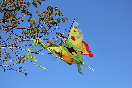 美丽的风筝玩具活动孩子喜悦闲暇蓝色乐趣天空自由绿色图片