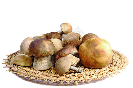 白色背景的树枝盘里的蘑菇生长产品餐饮季节森林柳条远足娱乐烹饪篮子图片