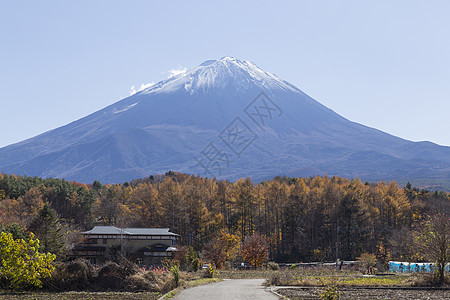 日本秋天福吉山吸引力斋子反射游客农场红叶宝塔日落公园走廊图片